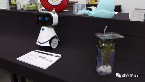 畢業(yè)季 廈門大學嘉庚學院2018產品設計專業(yè)本科畢業(yè)展