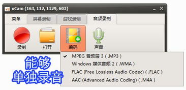 錄屏小將 ocam 全能錄屏、截圖與錄音的得力助手